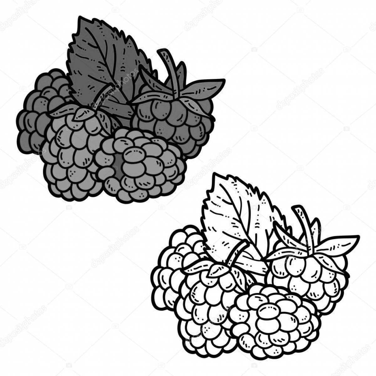 Colorful blackberry coloring book for kids