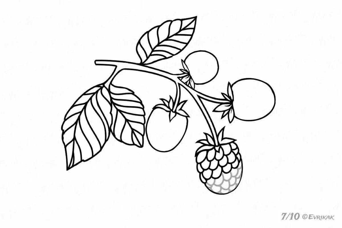 Children's blackberries #2