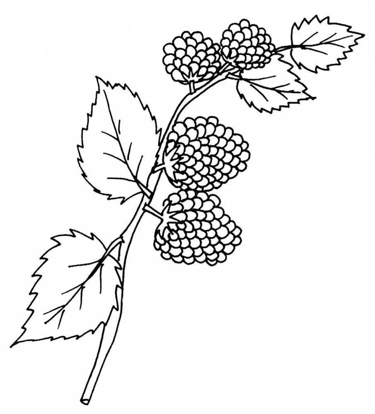 Children's blackberries #5
