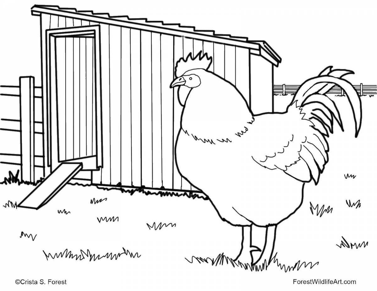 Amazing bird yard coloring page for kids