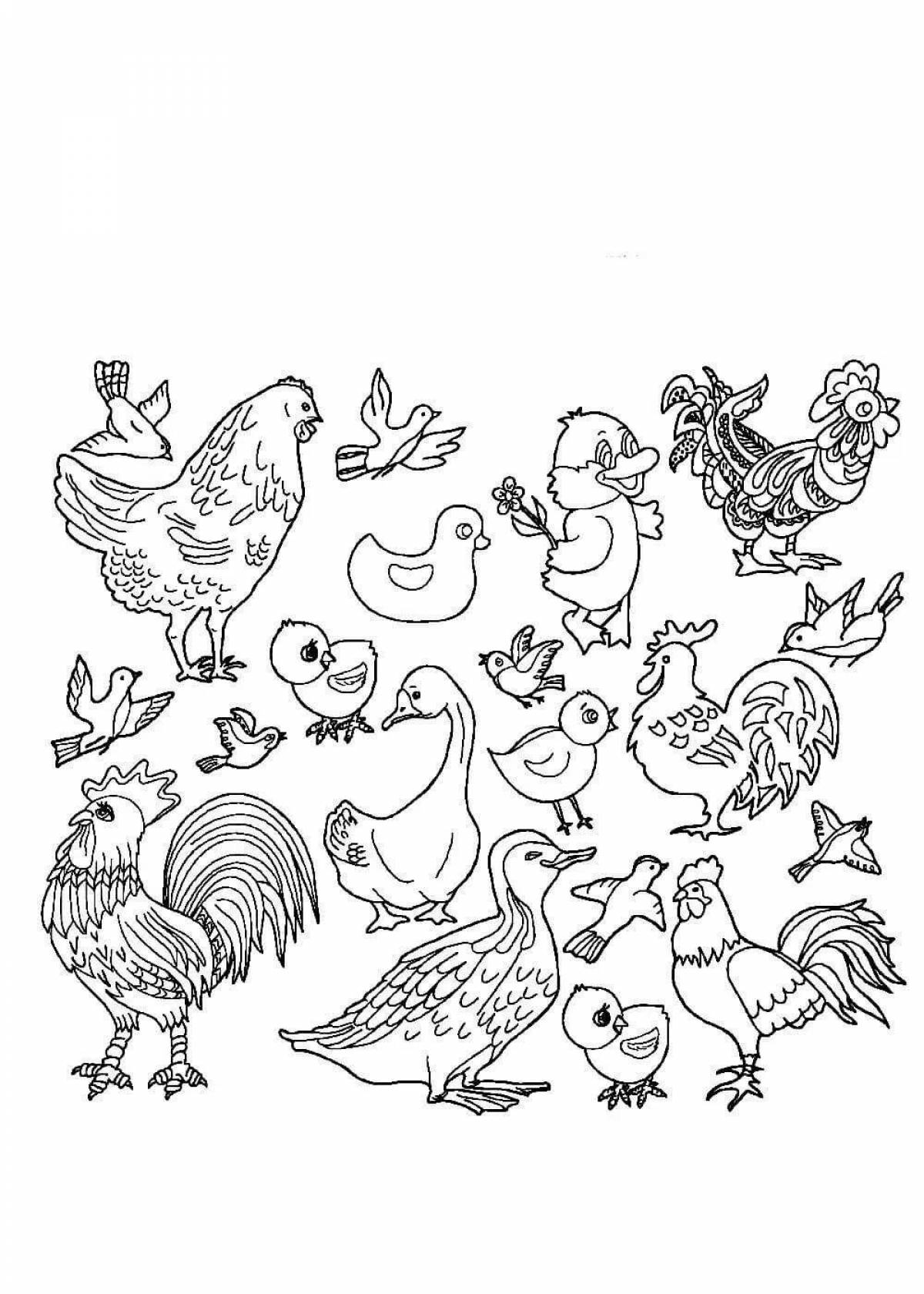 Exquisite bird yard coloring book for teens