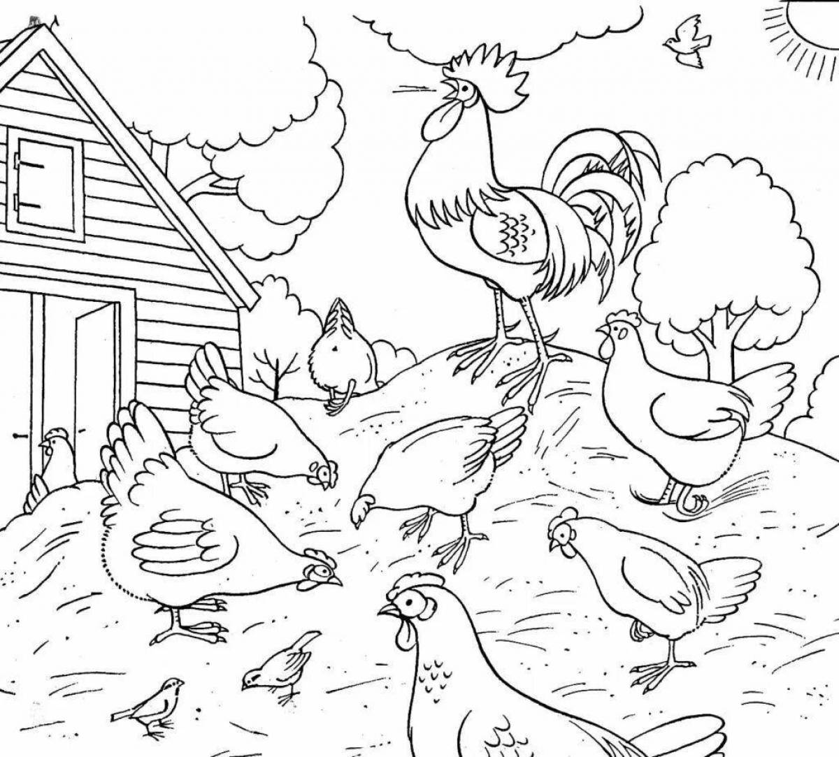 Glamourous bird yard coloring book for schoolchildren
