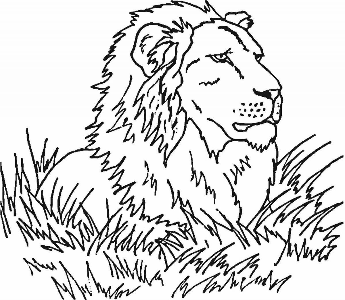 A drawing of a ferocious lion for children