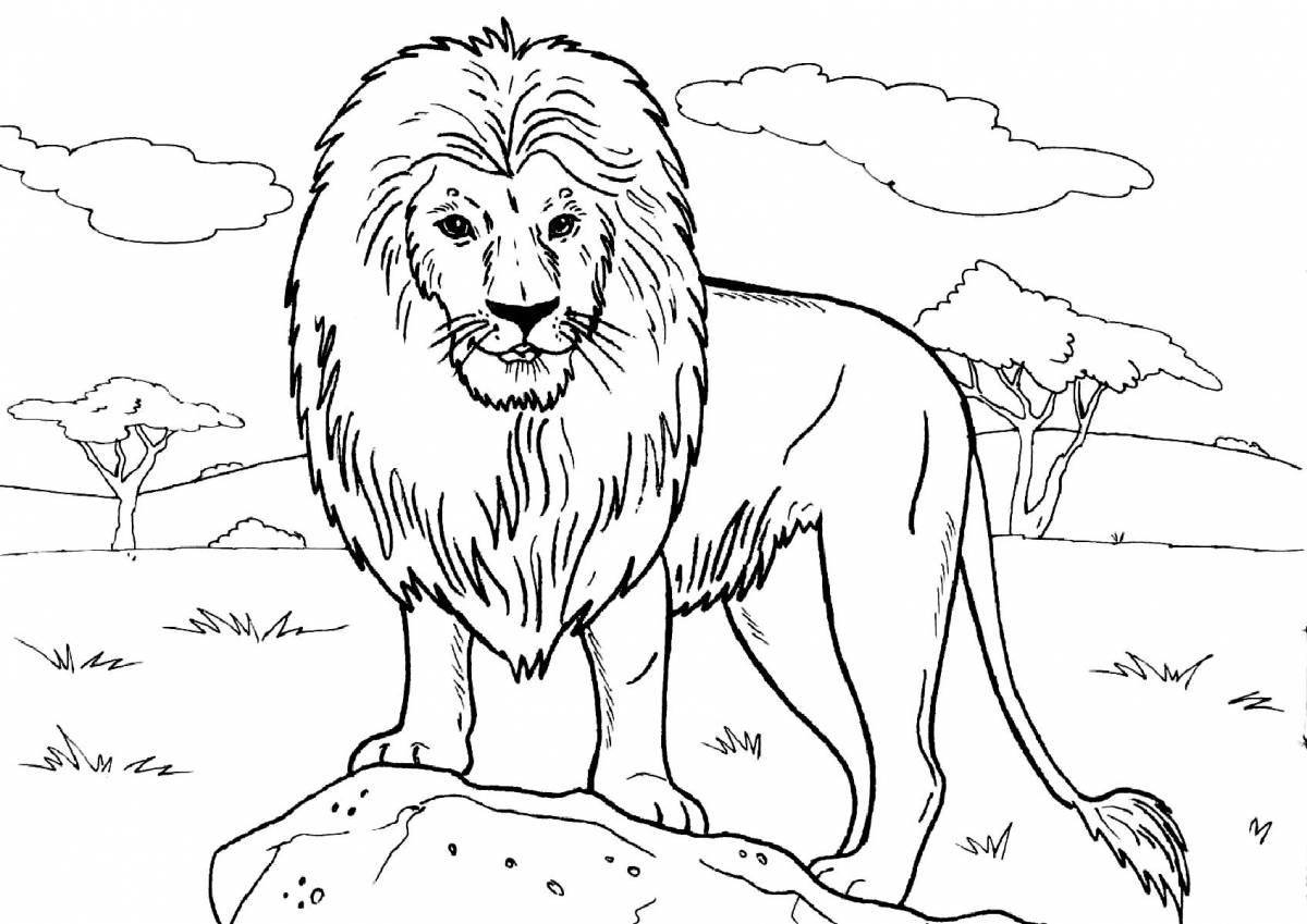 Colorful lion coloring book for kids