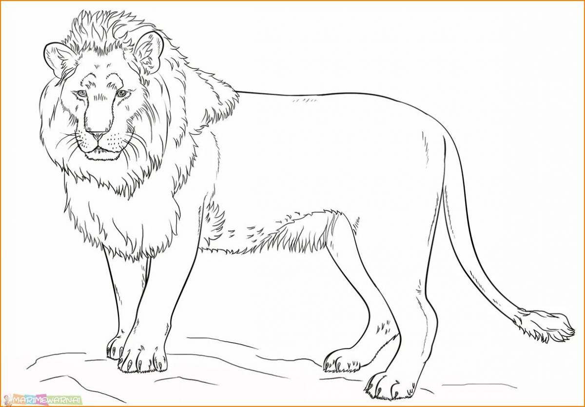 Яркая страница раскраски льва для детей
