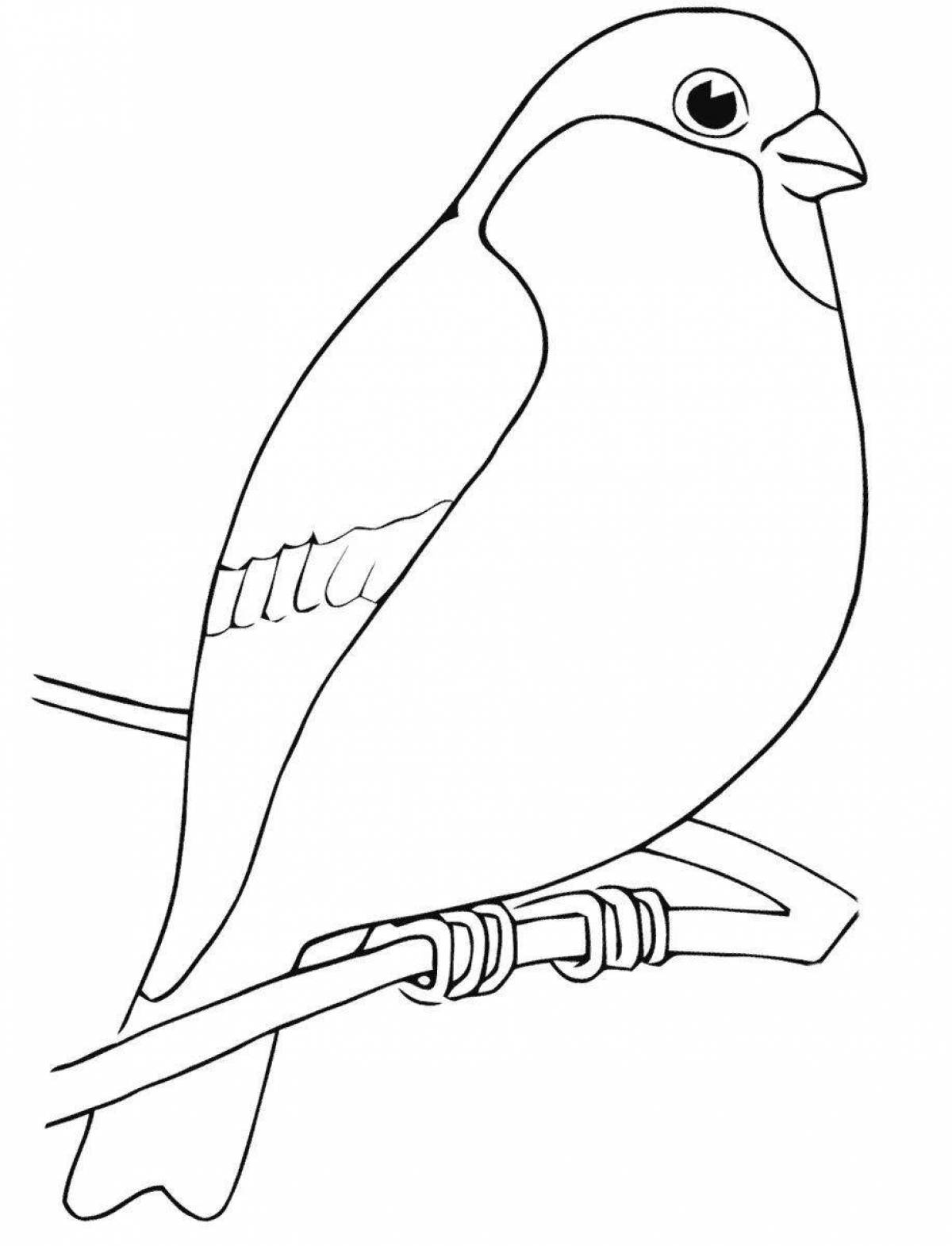Coloring book cheerful bullfinch and titmouse