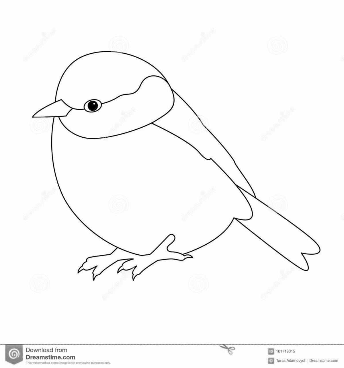 Live bullfinch and tit coloring book