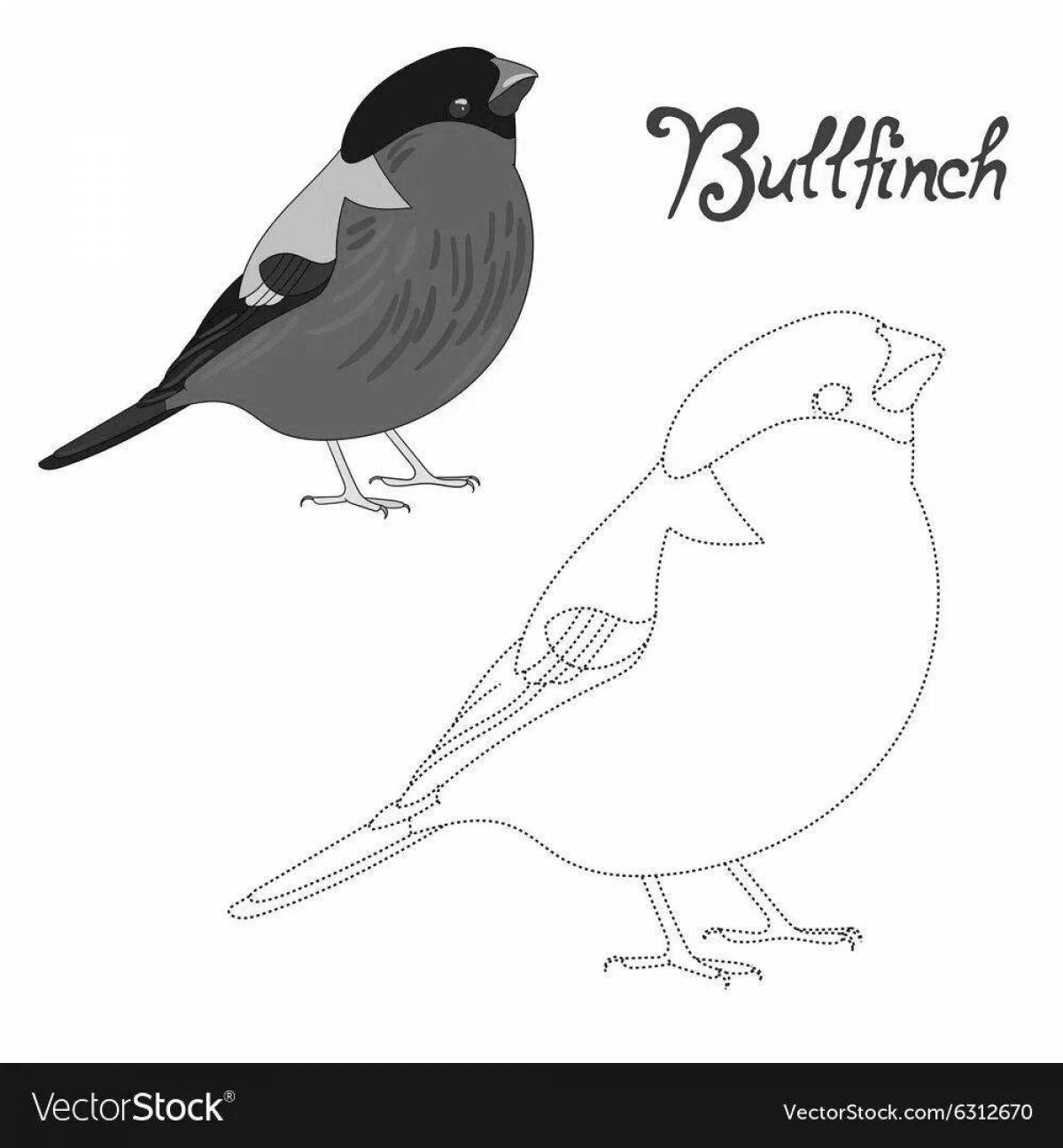 Intriguing bullfinch coloring for kids