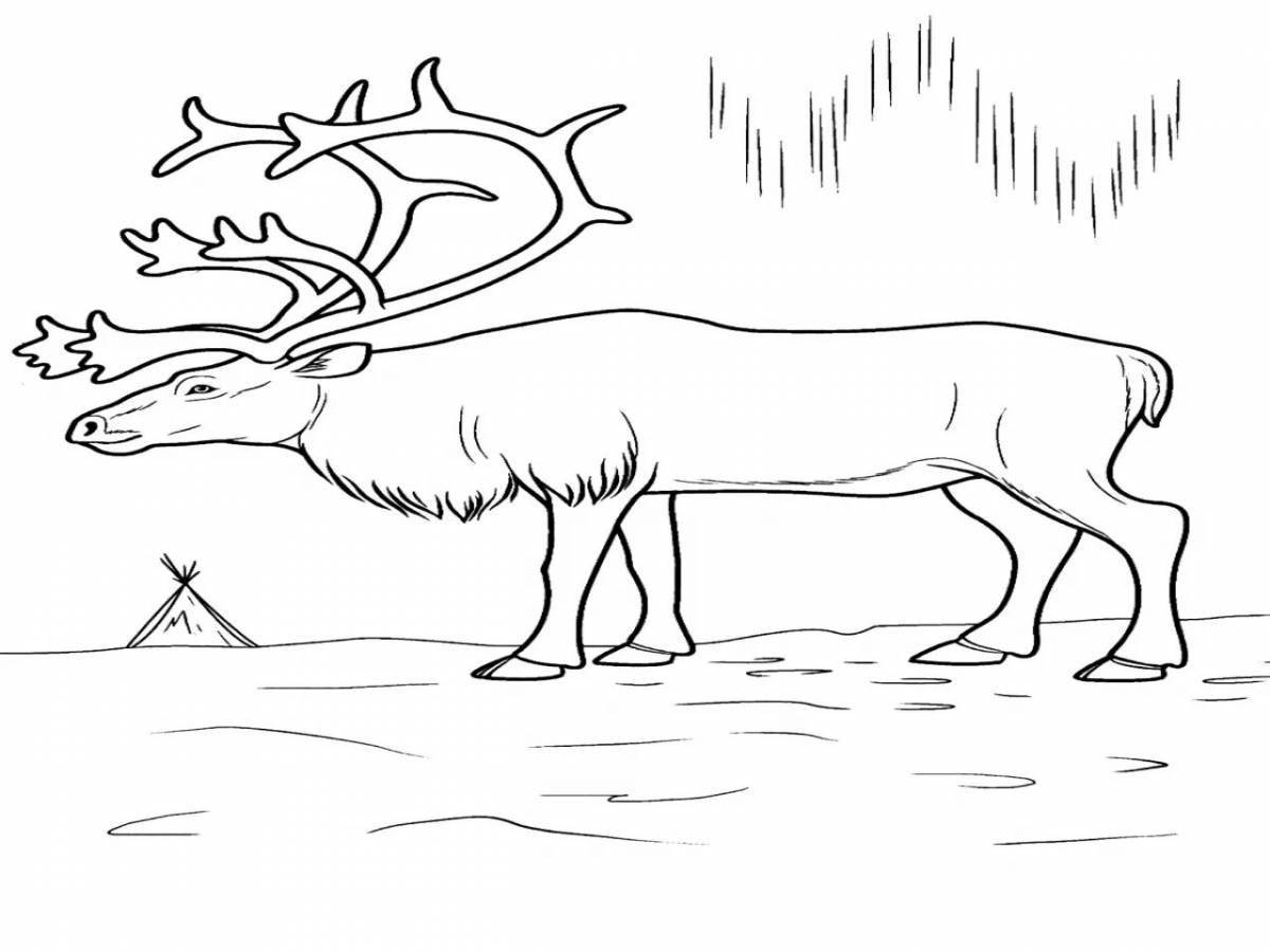 Coloring page fascinating animals of the far north