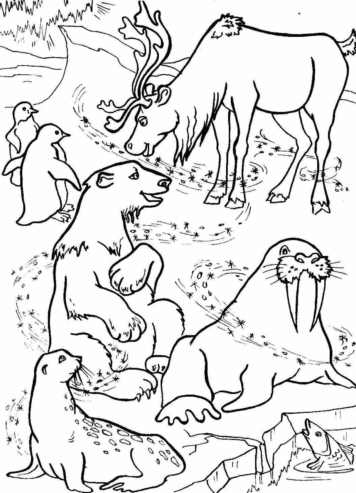 Coloring page fascinating animals of the far north
