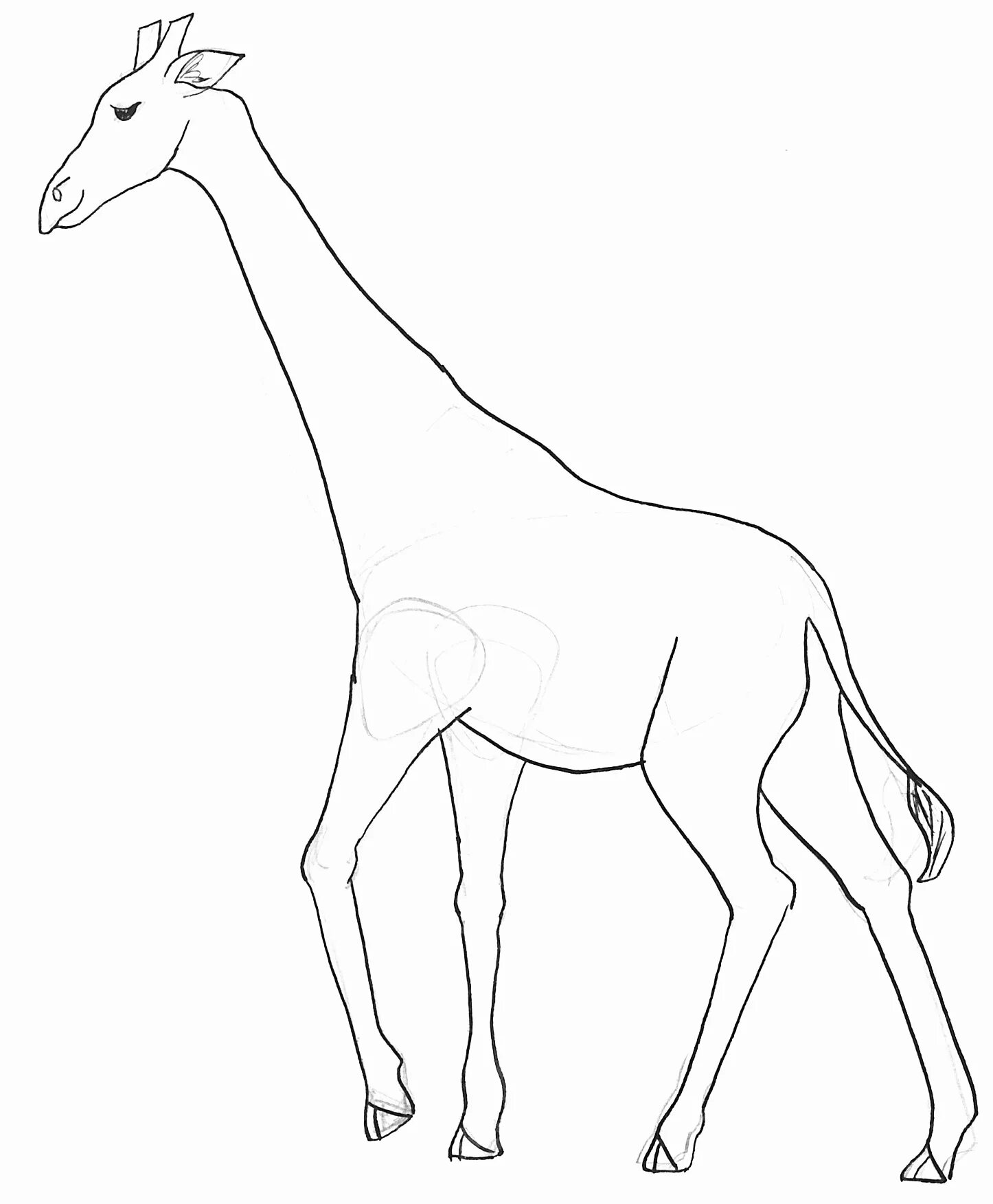 Giraffe without spots for kids #4