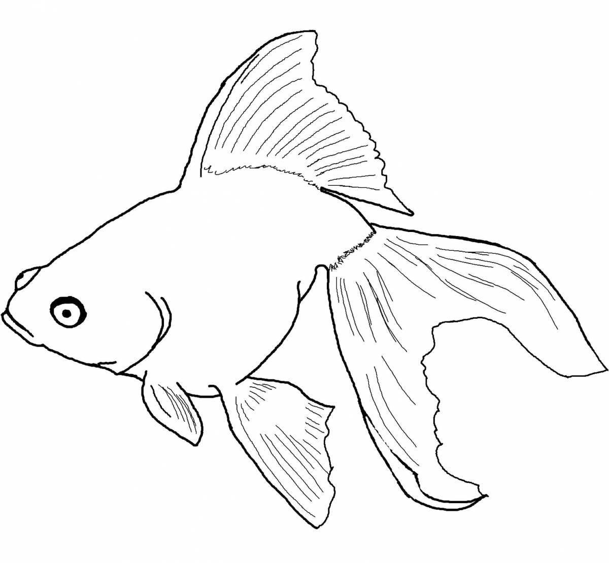 Attractive aquarium fish coloring book for kids