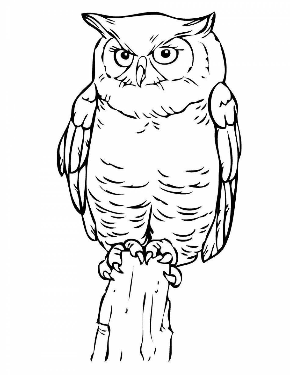 A funny owl coloring book for kids 6-7 years old