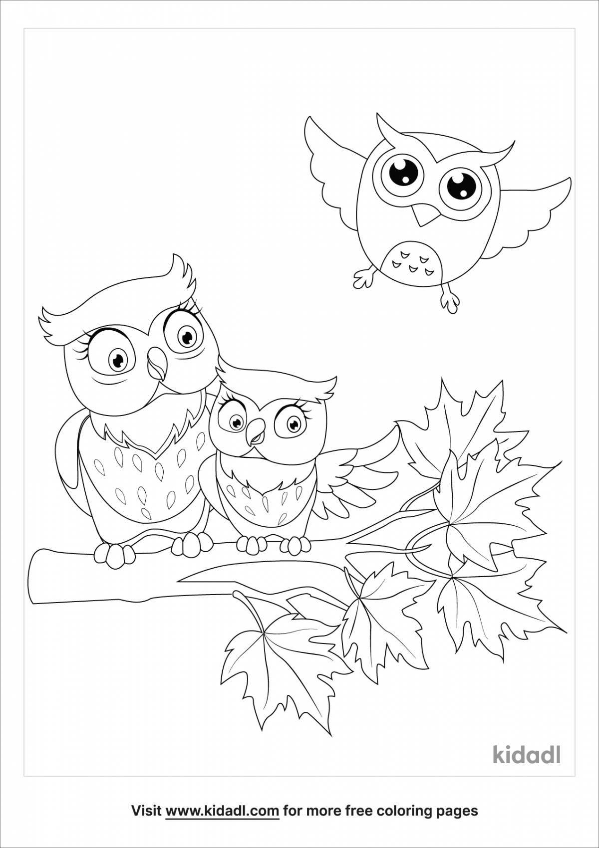 Playful owl coloring book for 6-7 year olds