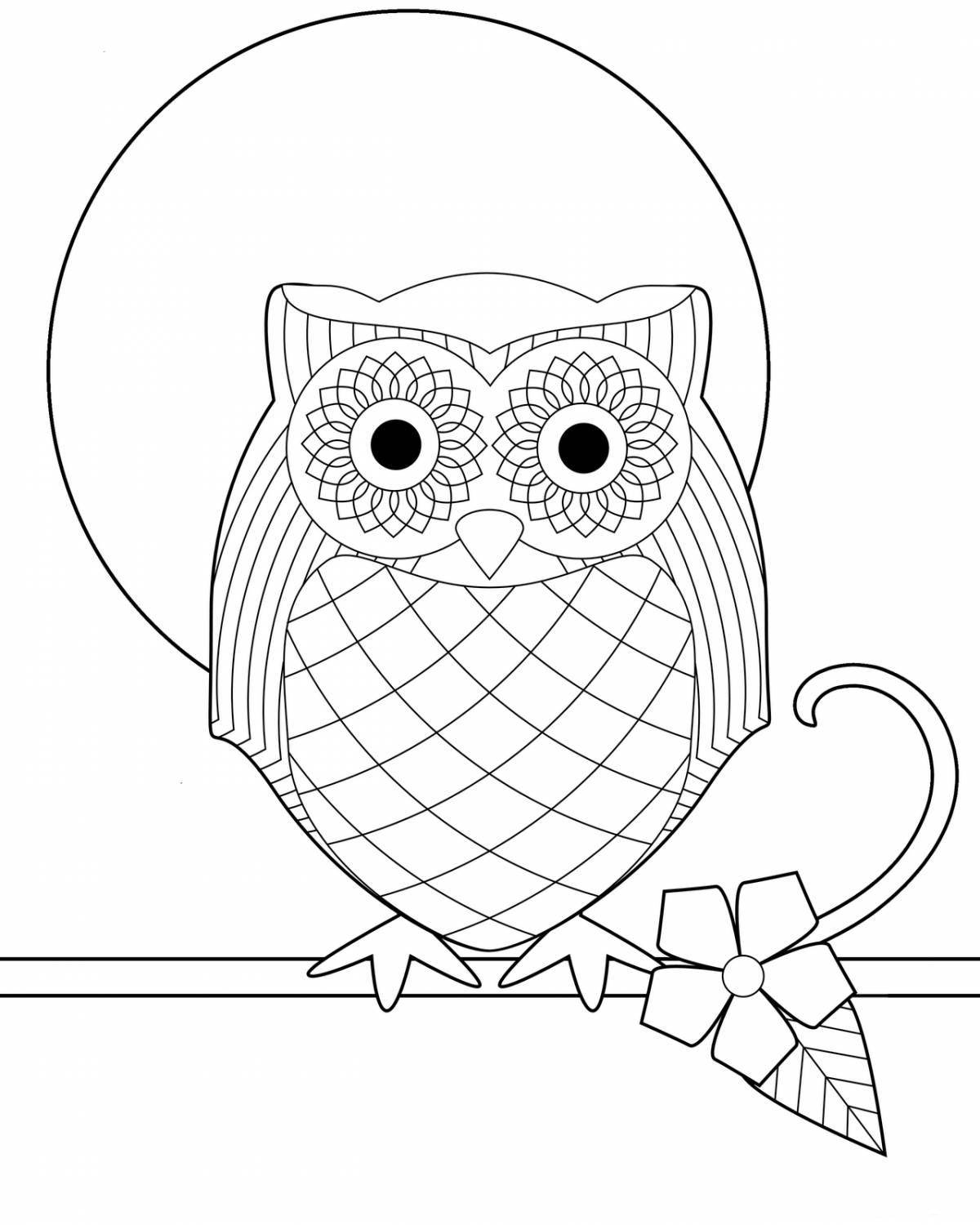 Whimsical owl coloring book for 6-7 year olds