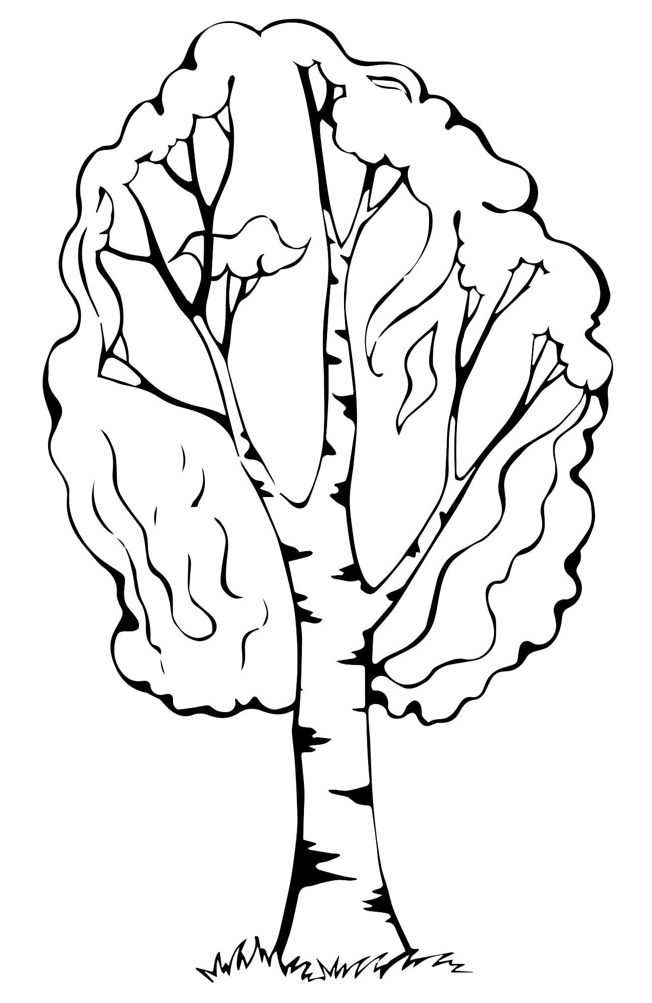 Animated birch coloring page for 5-6 year olds