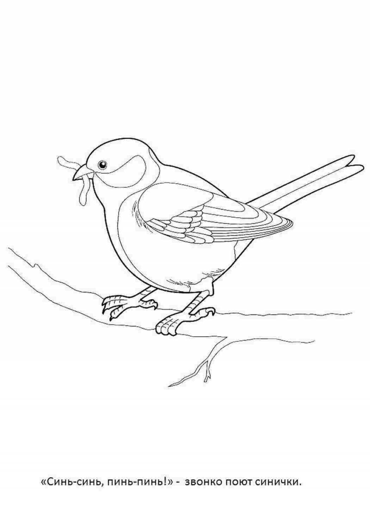 Colorful titmouse coloring book for children 4-5 years old