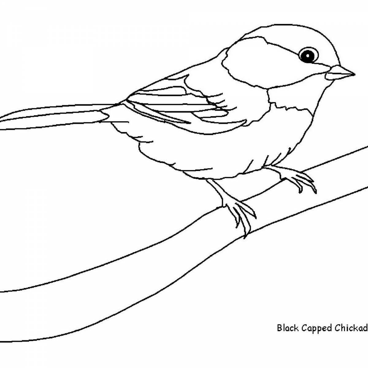 Coloring page joyful titmouse for children 4-5 years old