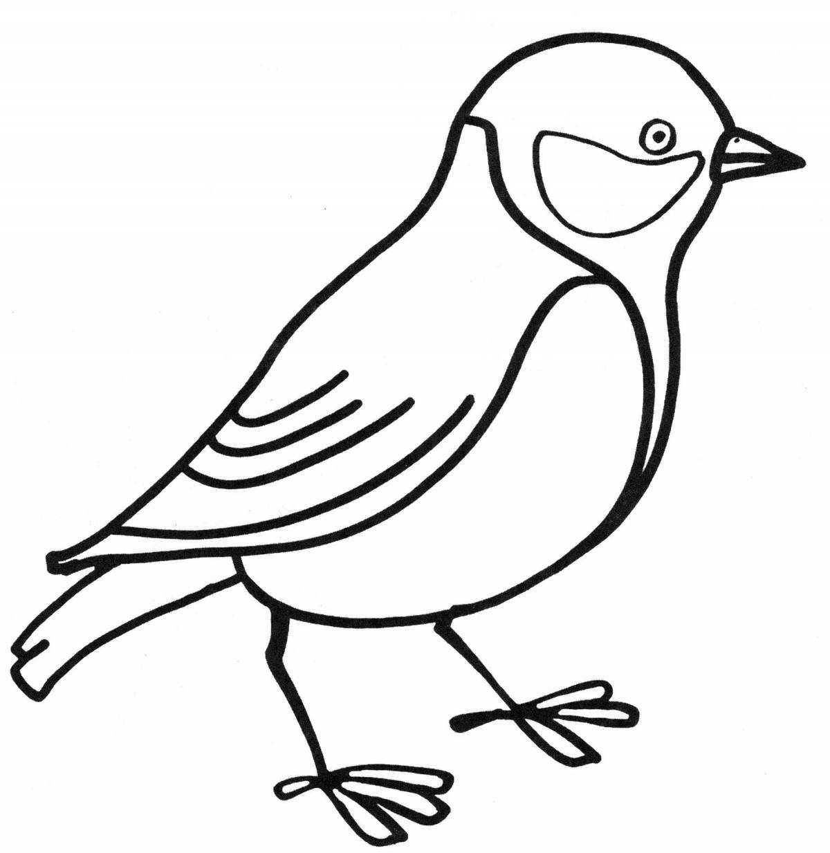 Coloring book funny titmouse for children 4-5 years old