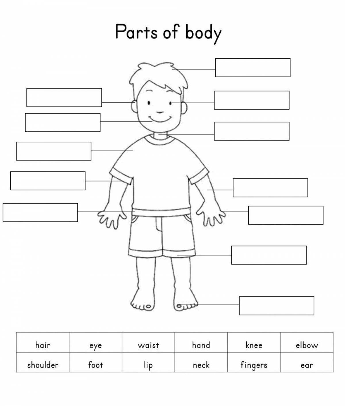 Fun body parts coloring for kids
