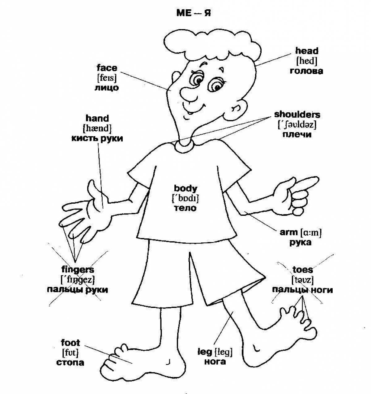 Exciting coloring pages of body parts for kids