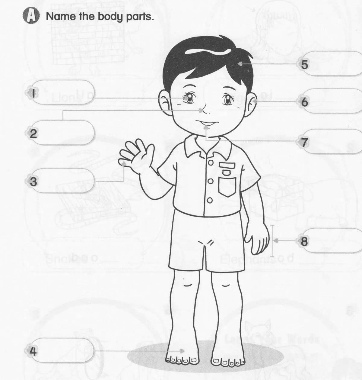 Части тела на английском для детей раскраска