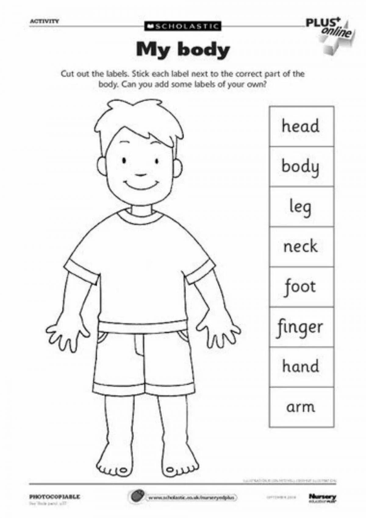 Body parts in english for kids #3