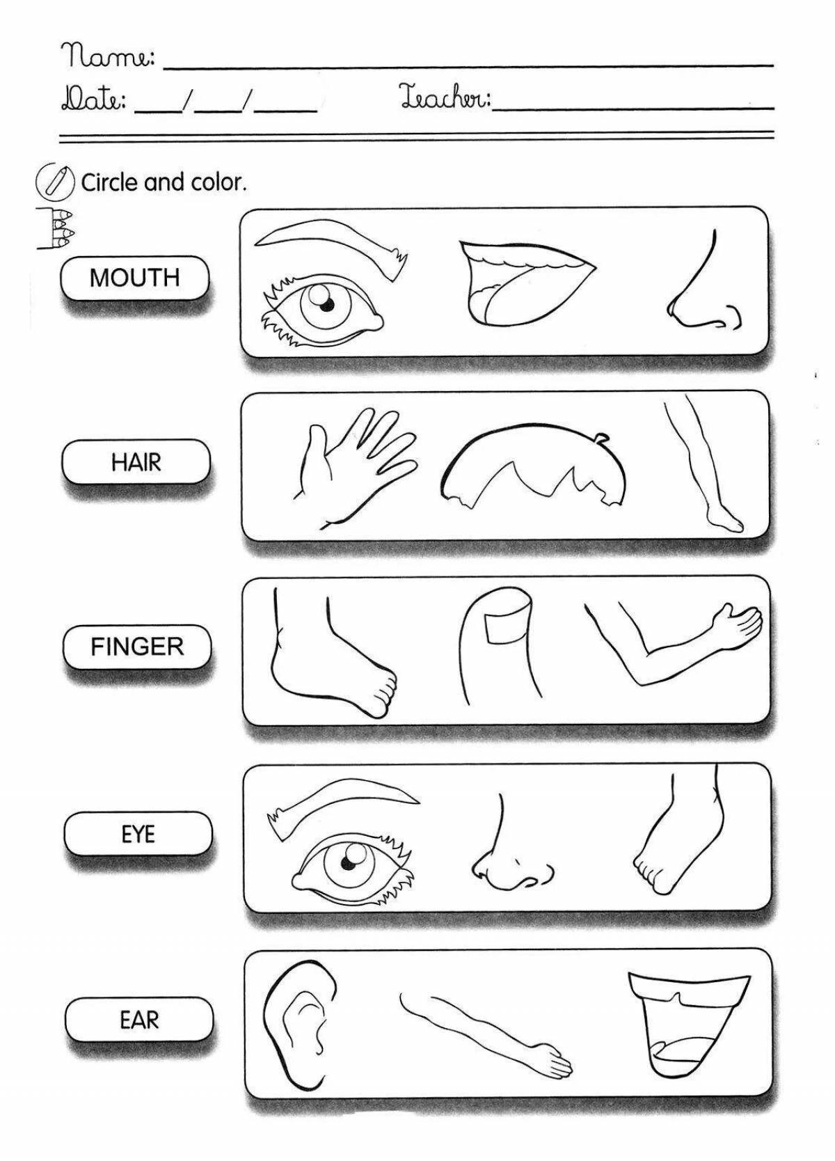 Body parts in english for kids #6