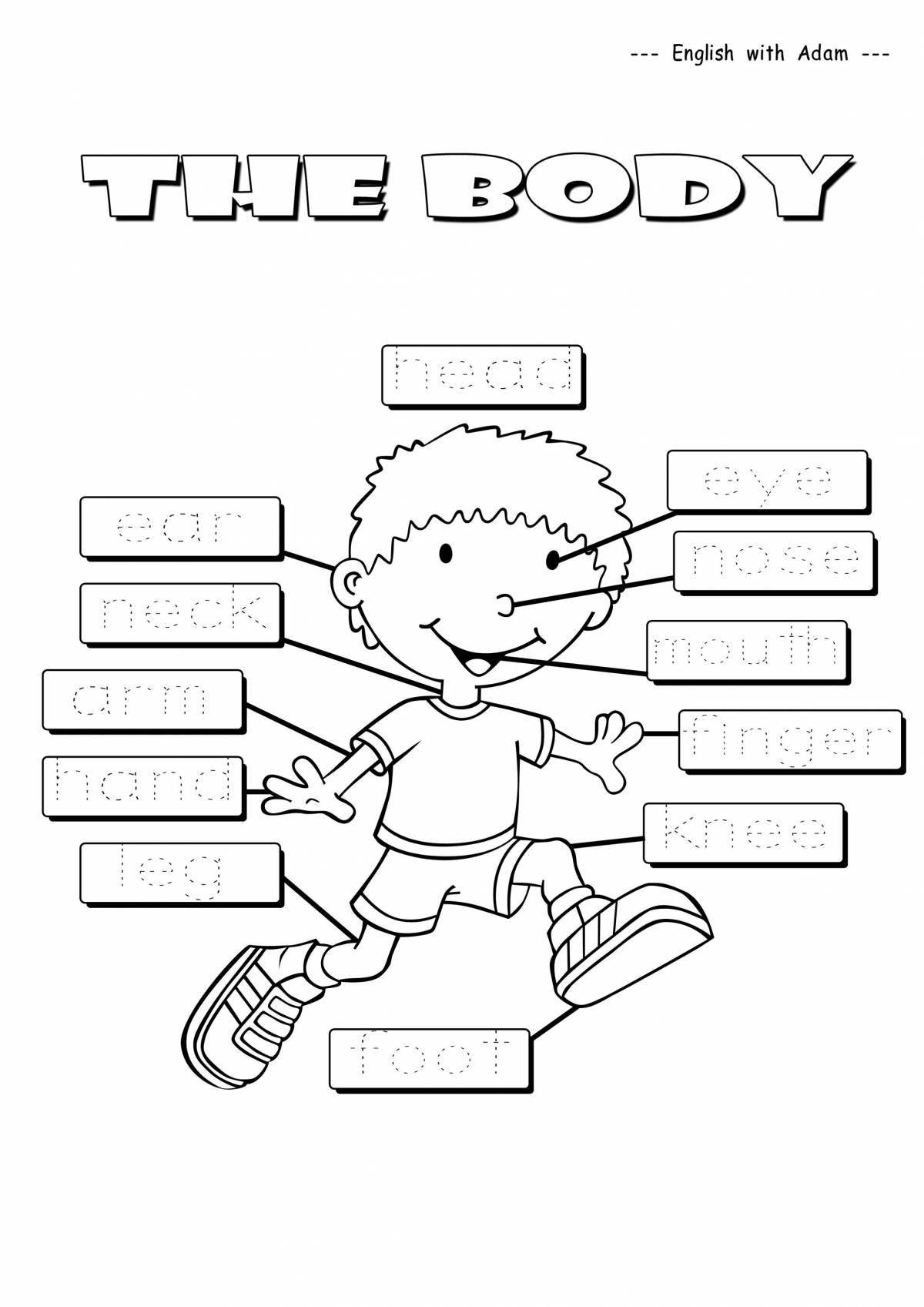 Части тела на английском для детей #7