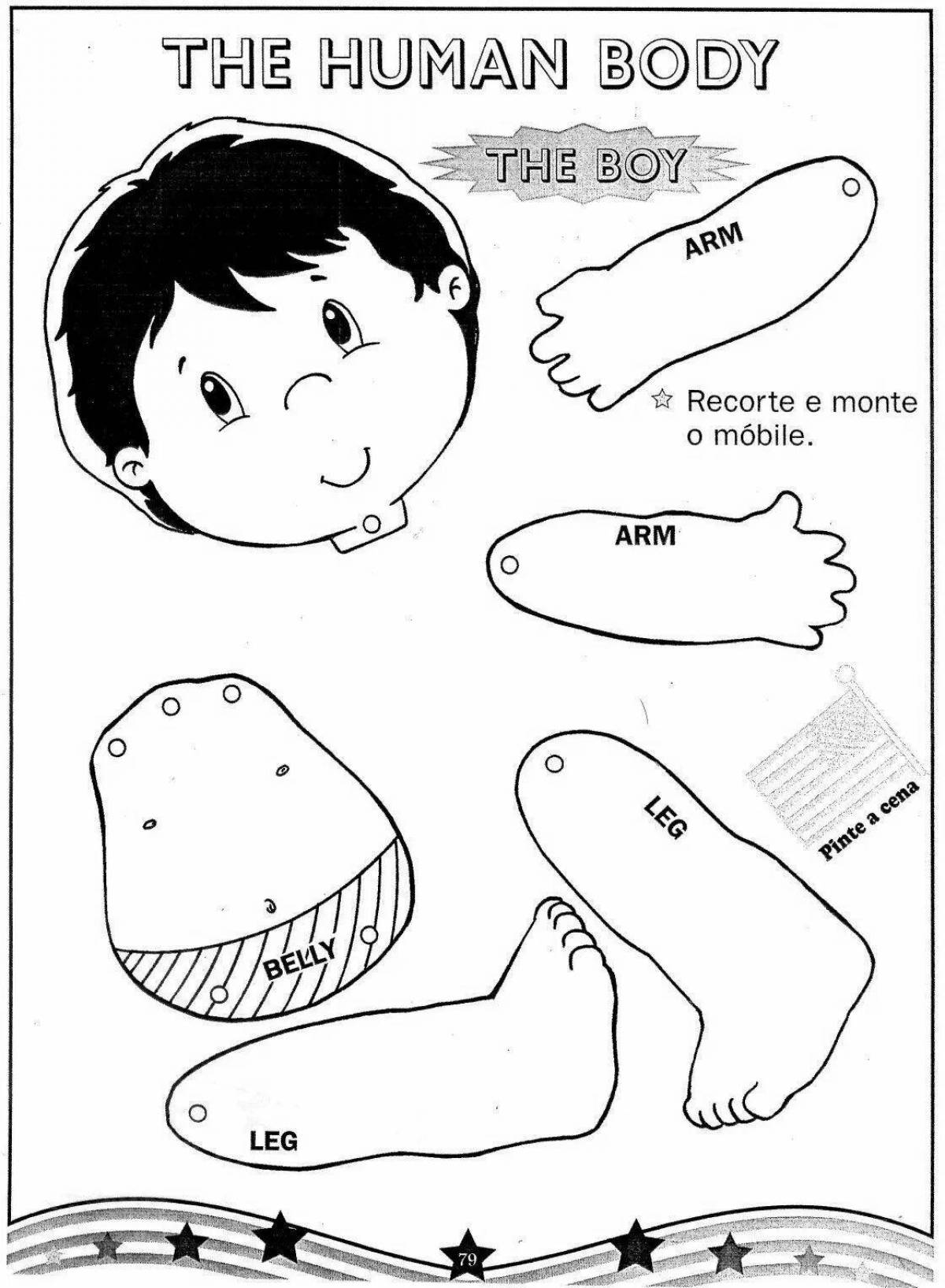 Части тела на английском для детей #8