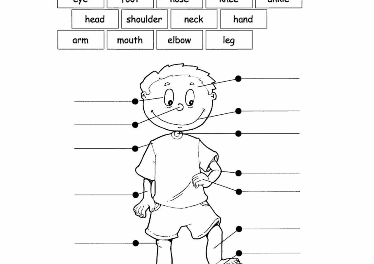 Body parts in english for kids #17