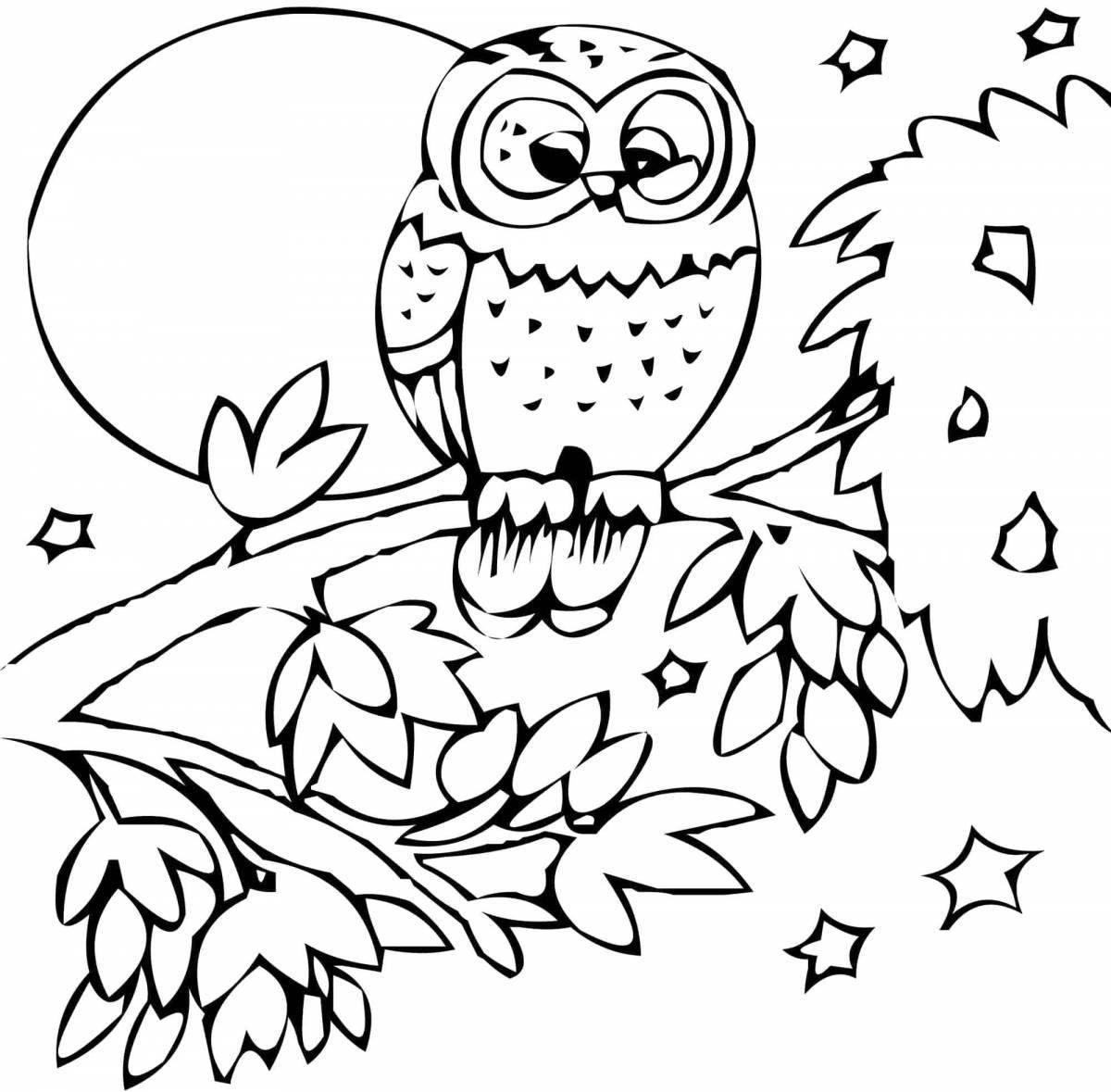 Funny owl coloring for children 3-4 years old
