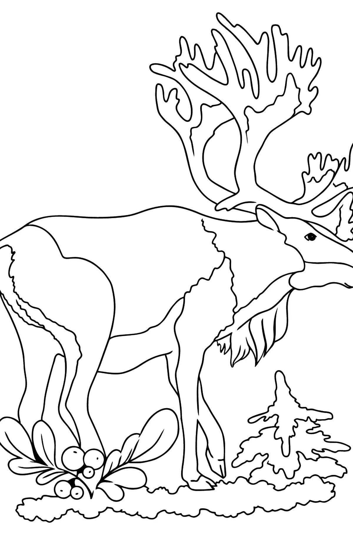 Игривая раскраска олень для детей 3-4 лет