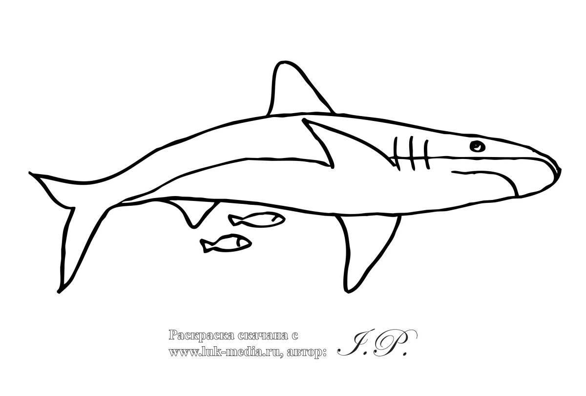 Раскраска милая акула для детей 4-5 лет