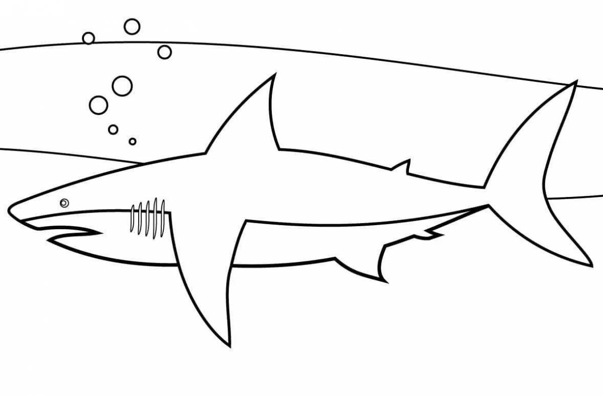 Милая акула-раскраска для детей 4-5 лет