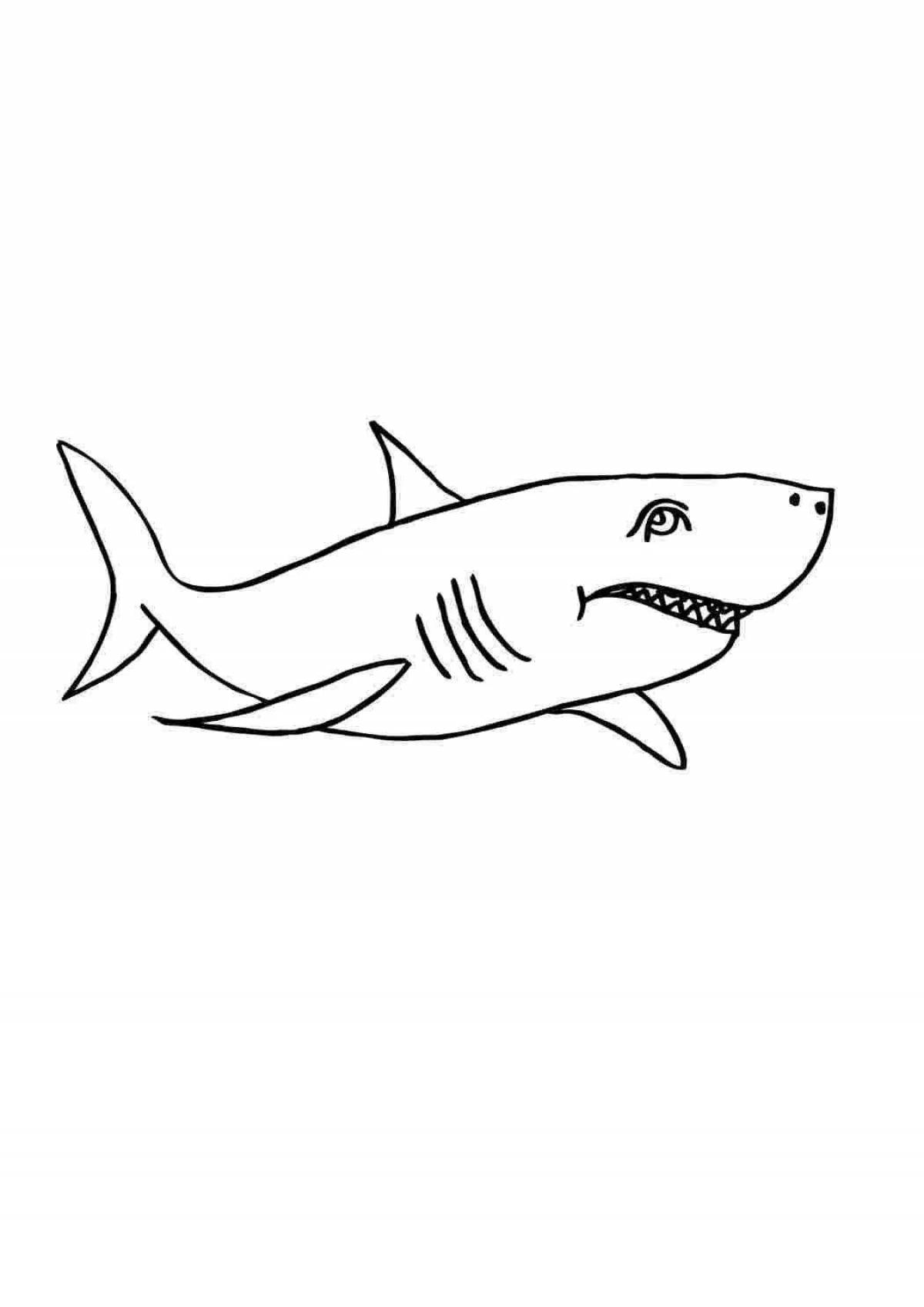 Цветная акула-раскраска для детей 4-5 лет
