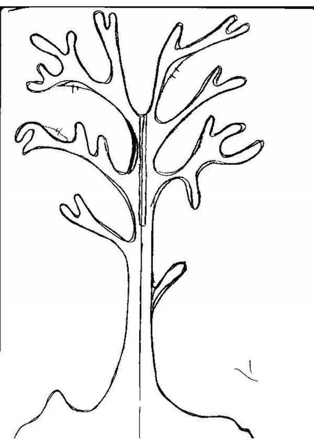 Увлекательная раскраска «зимнее дерево» для детей 3-4 лет