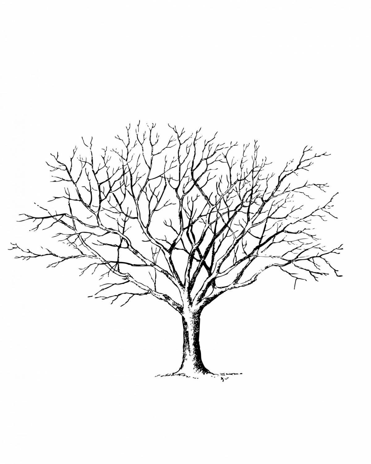 Страница раскраски безмятежного зимнего дерева для детей 3-4 лет