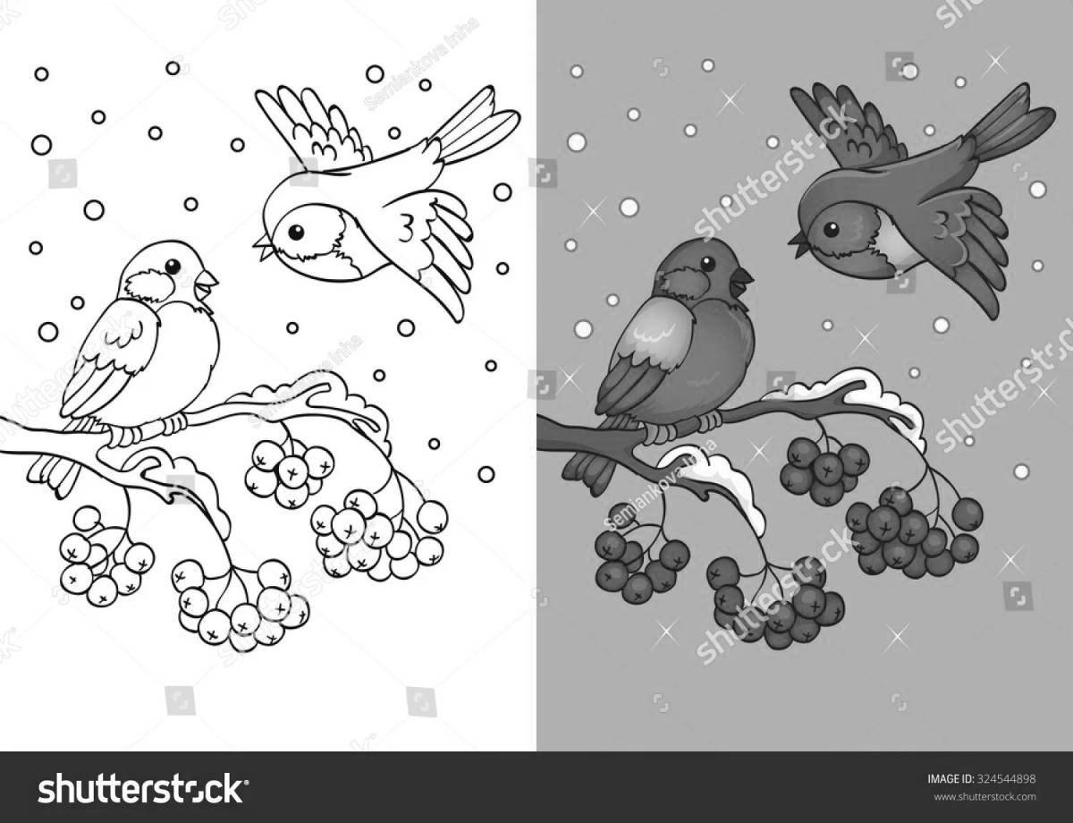 Animated bullfinches on a rowan branch in winter