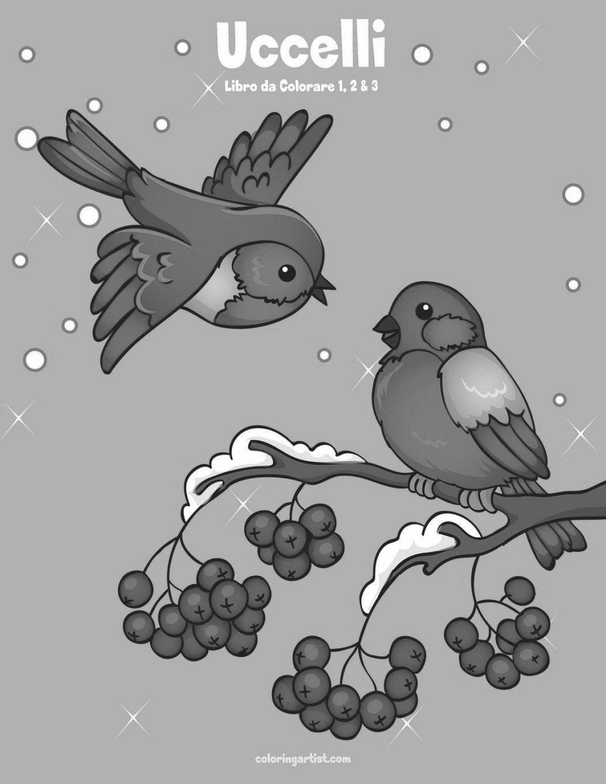 Majestic bullfinches on a rowan branch in winter