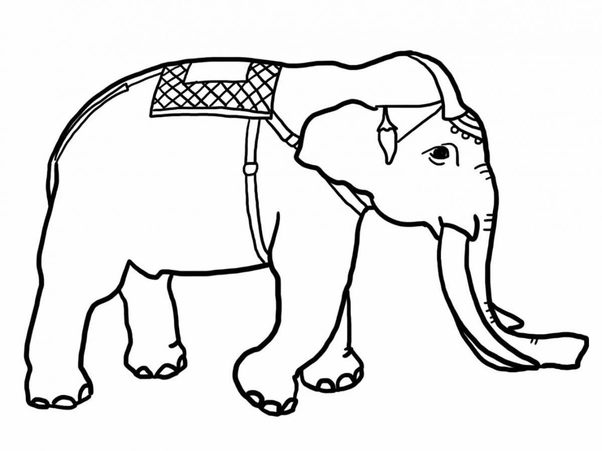 Индийский слон раскраска для детей