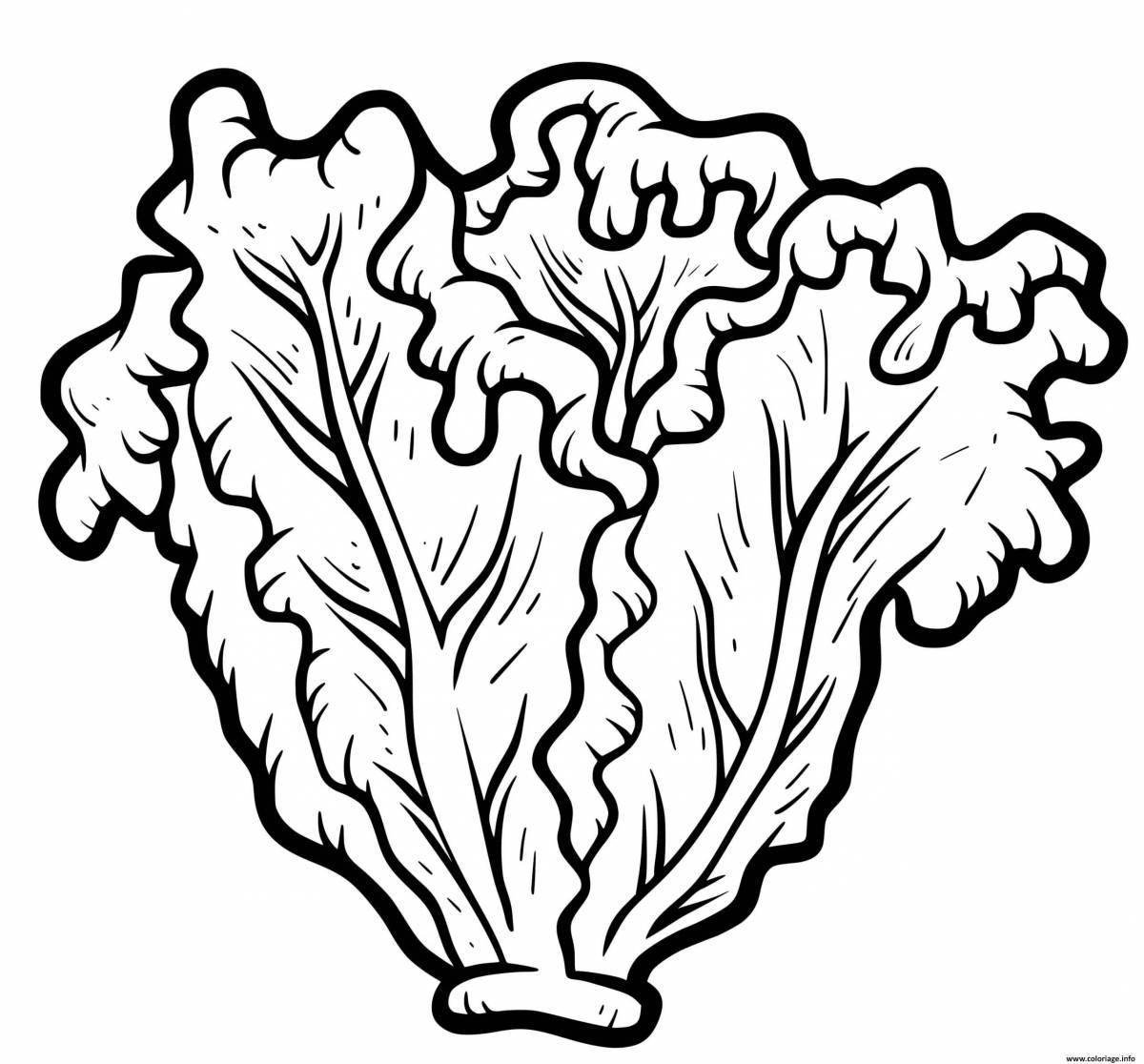 Playful lettuce coloring page for kids