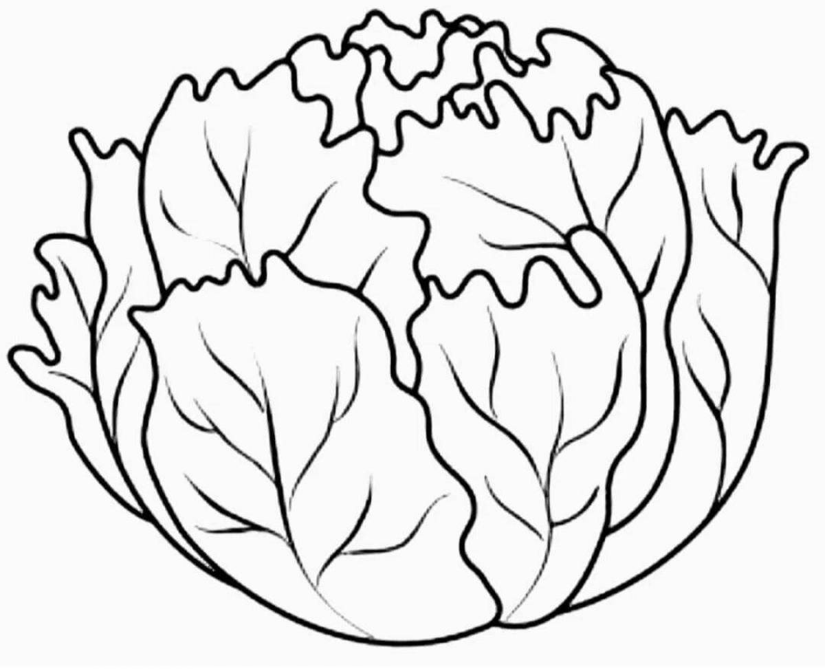 Creative lettuce coloring book for kids