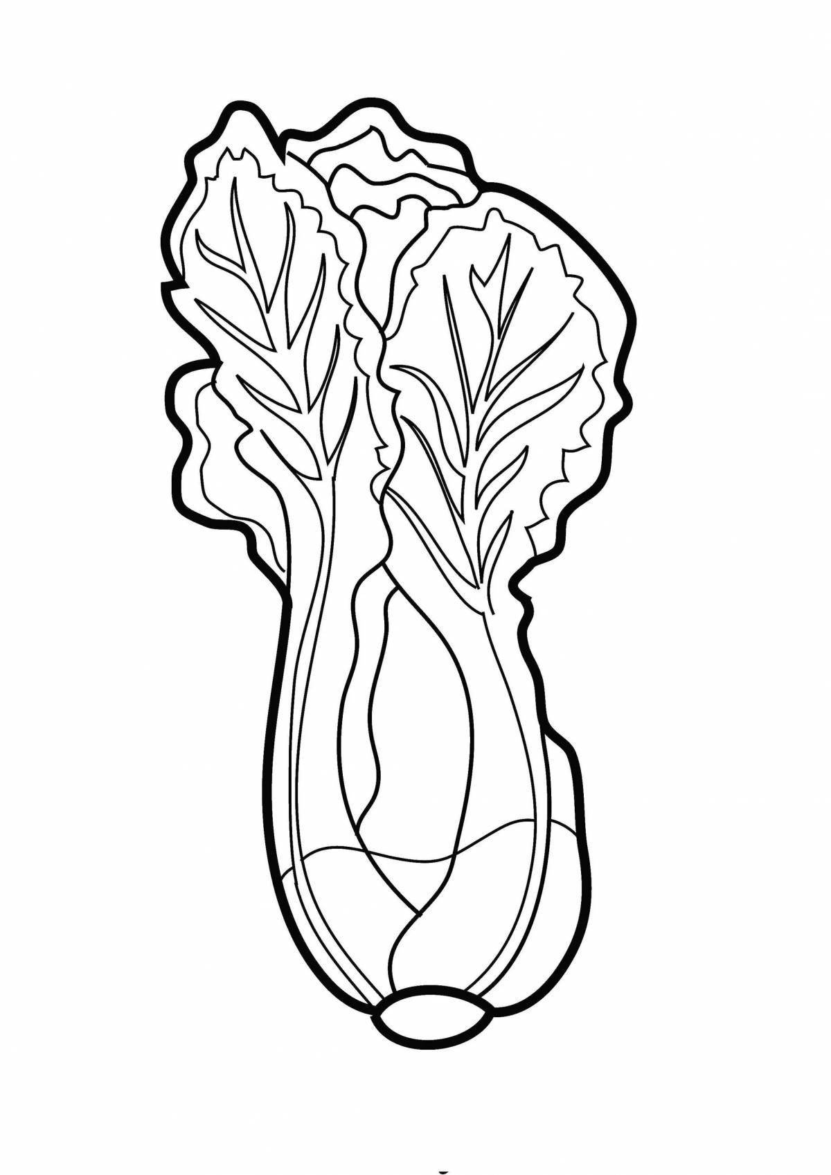 Innovative lettuce coloring page for kids