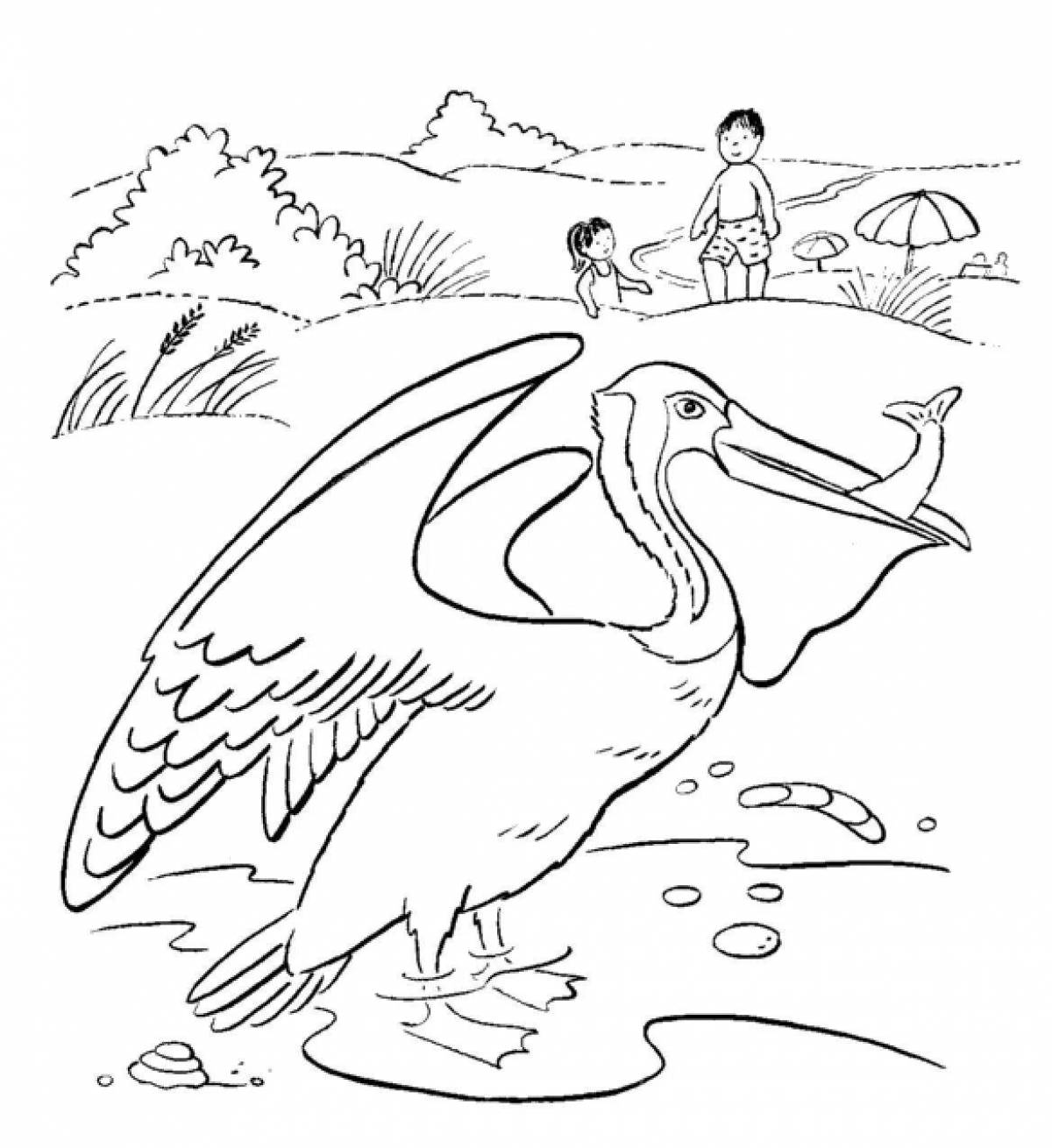 Очаровательная раскраска пеликан для детей