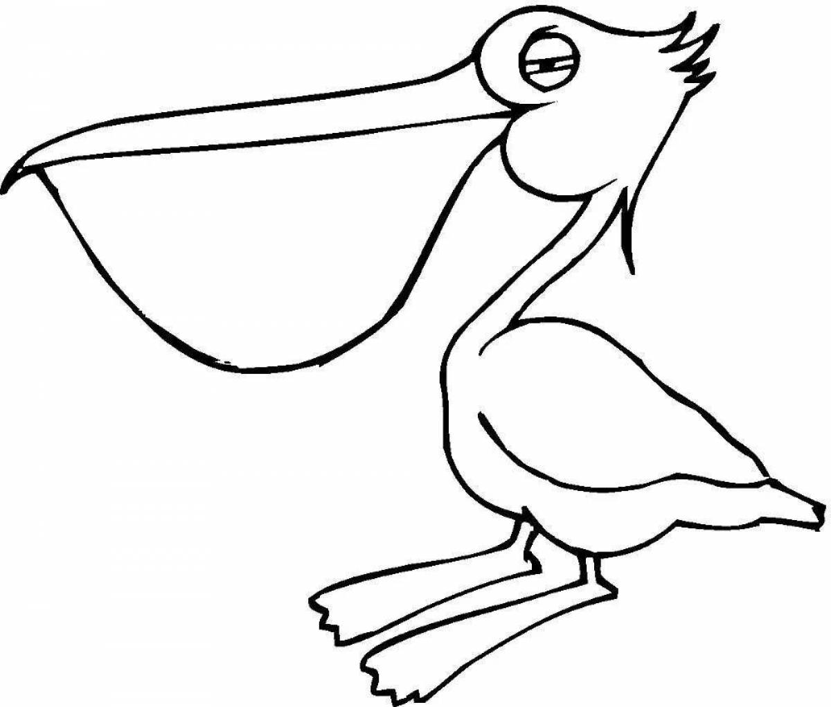 Веселая раскраска пеликан для самых маленьких