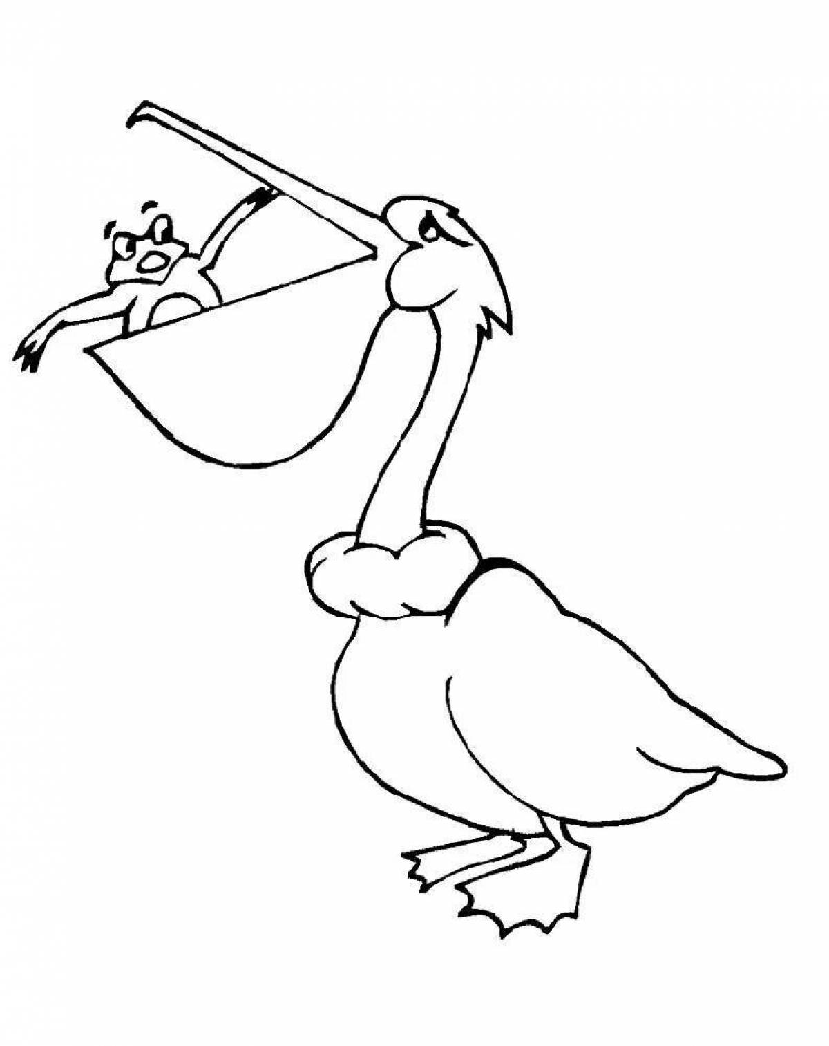 Яркая раскраска пеликан для малышей