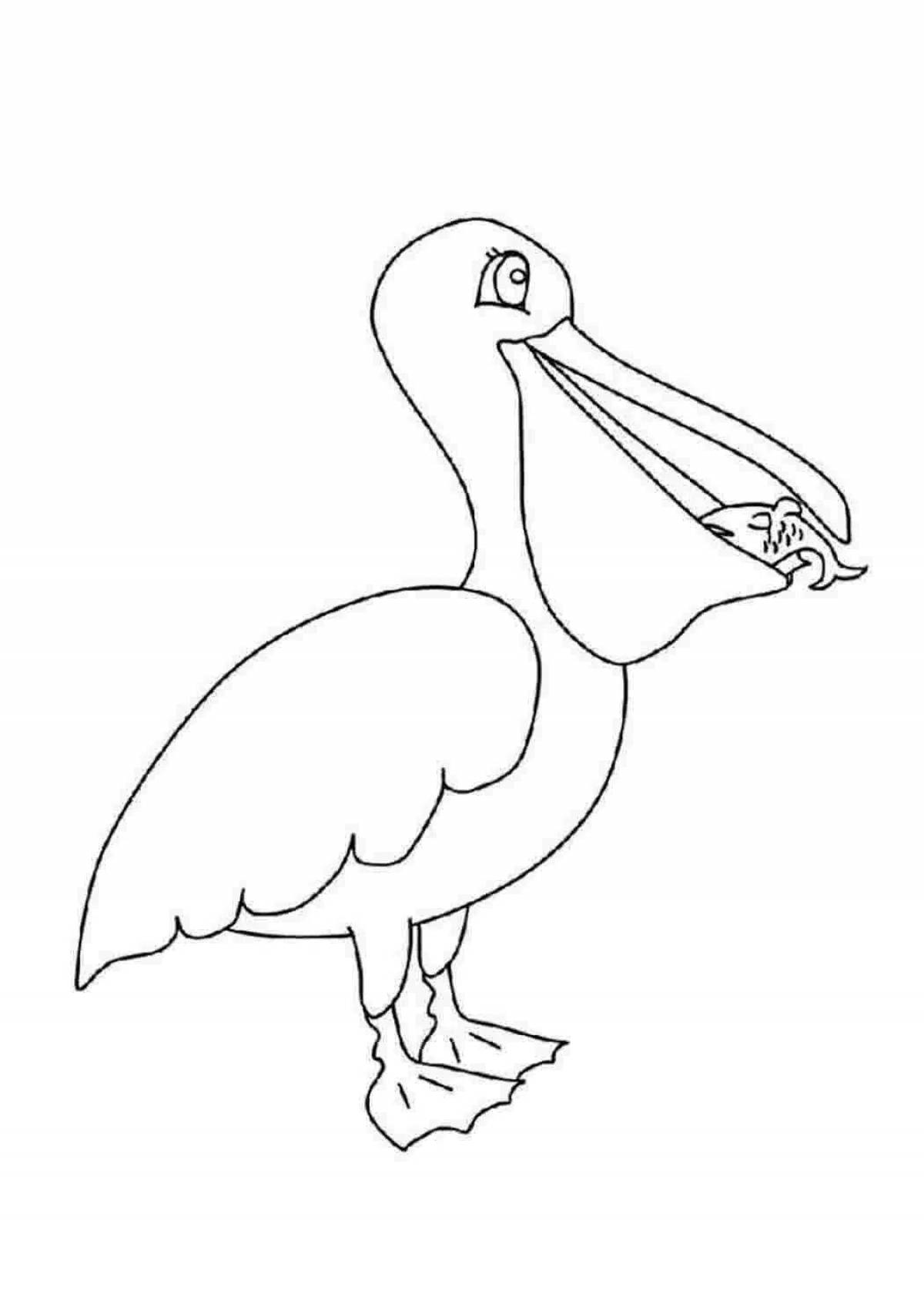 Children's Pelican Coloring Pages for Toddlers
