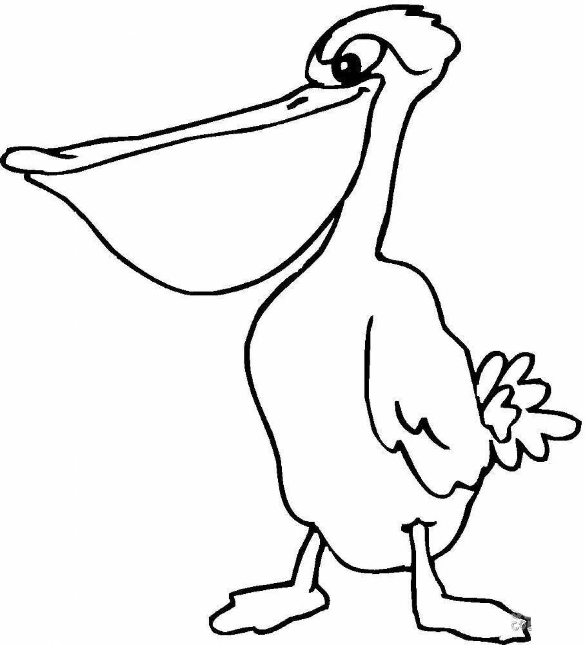 Fun coloring pelican for kids