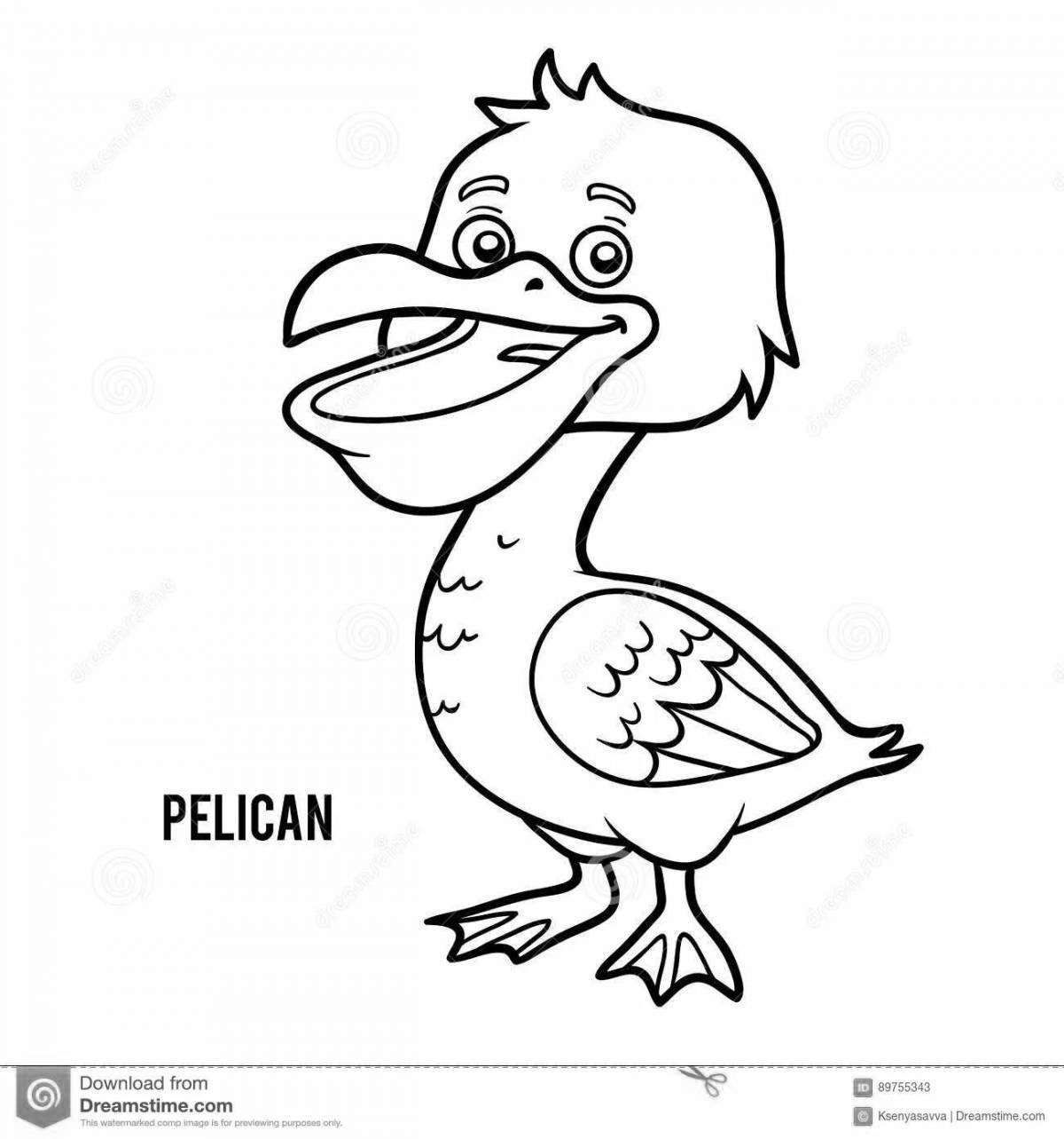 Gorgeous pelican coloring for students